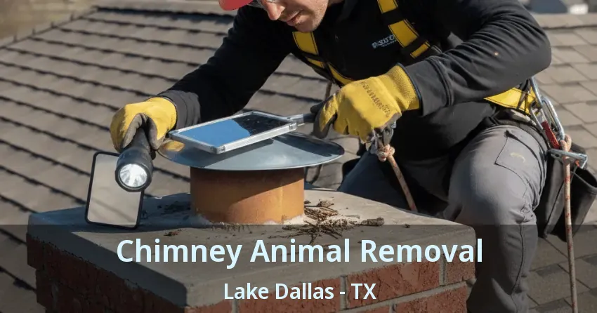 Chimney Animal Removal Lake Dallas - TX