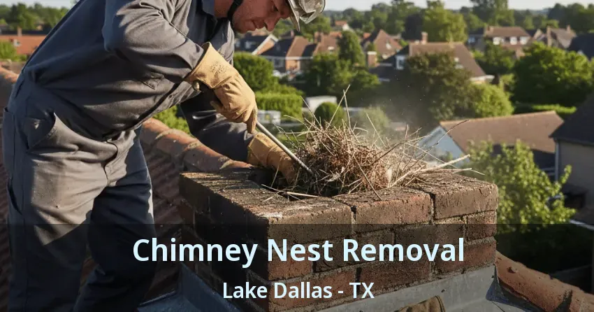 Chimney Nest Removal Lake Dallas - TX