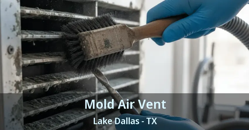 Mold Air Vent Lake Dallas - TX