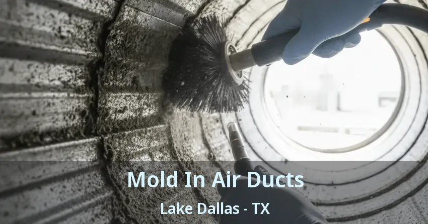 Mold In Air Ducts Lake Dallas - TX