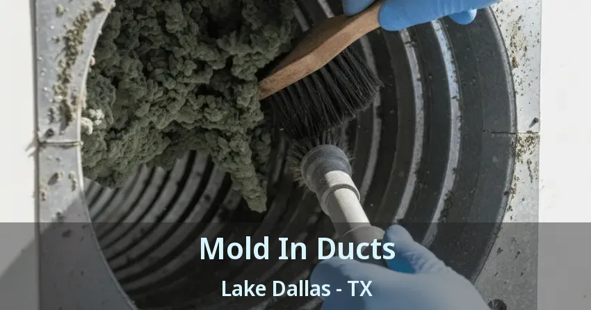 Mold In Ducts Lake Dallas - TX