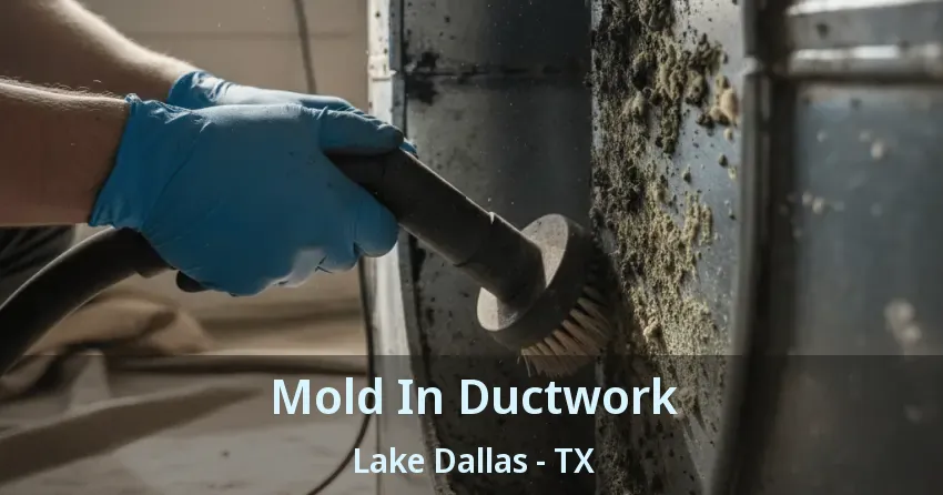 Mold In Ductwork Lake Dallas - TX