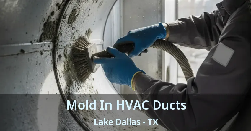 Mold In HVAC Ducts Lake Dallas - TX