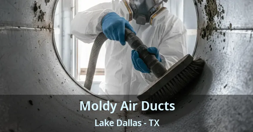 Moldy Air Ducts Lake Dallas - TX